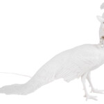 Seletti designové stojací lampy Peacock