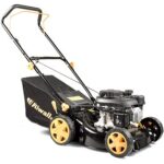 RIWALL PRO Rotační sekačka benzínová 2v1 RPM 4234 P