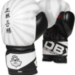DBX BUSHIDO B-2V8 10 OZ Boxerské rukavice
