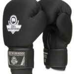 DBX BUSHIDO DBX-B-W EVERCLEAN 10 OZ Boxerské rukavice